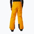 Pantaloni da sci Helly Hansen per bambini Elements cloudberry 7