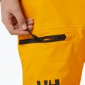 Pantaloni da sci Helly Hansen per bambini Elements cloudberry 8