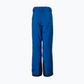 Pantaloni da sci Helly Hansen da bambino Elements deep fjord 11