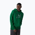 Felpa con cappuccio Helly Hansen F2F Uomo in cotone organico malachite 3