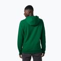 Felpa con cappuccio Helly Hansen F2F Uomo in cotone organico malachite 4