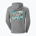 Felpa con cappuccio Helly Hansen F2F Uomo in cotone organico grigio nebbia melange/squamish 2