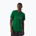 Camicia da trekking Helly Hansen Nord Graphic malachite da uomo