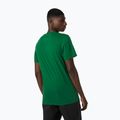 Camicia da trekking Helly Hansen Nord Graphic malachite da uomo 2