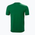 Camicia da trekking Helly Hansen Nord Graphic malachite da uomo 5