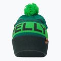 Helly Hansen Ridgeline berretto invernale in abete scuro 2