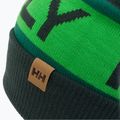 Helly Hansen Ridgeline berretto invernale in abete scuro 3