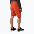 Pantaloncini da vela da uomo Helly Hansen Hh Qd Cargo 11" canyon 2