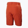Pantaloncini da vela da uomo Helly Hansen Hh Qd Cargo 11" canyon 6