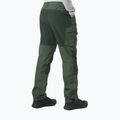 Pantaloni da trekking da uomo Helly Hansen Vandre Tur spruce 2