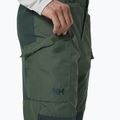 Pantaloni da trekking da uomo Helly Hansen Vandre Tur spruce 3