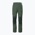 Pantaloni da trekking da uomo Helly Hansen Vandre Tur spruce 6