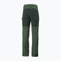 Pantaloni da trekking da uomo Helly Hansen Vandre Tur spruce 7