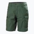 Pantaloncini da trekking da uomo Helly Hansen Vandre Cargo Spruce 5