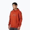 Felpa con cappuccio Helly Hansen Nord Graphic Pull Over da uomo canyon