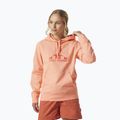 Felpa trekking donna Helly Hansen Nord Graphic Pullover Hoodie quarzo rosa