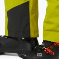 Pantaloni da sci da uomo Helly Hansen Legendary Insulated bright moss 6