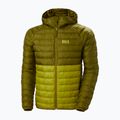 Piumino Helly Hansen Banff Insulator da uomo con cappuccio muschio brillante 11