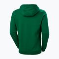 Felpa con cappuccio Helly Hansen F2F Uomo in cotone organico malachite 5