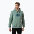 Felpa da uomo con cappuccio Helly Hansen HH Logo cactus