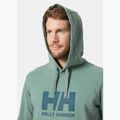 Felpa da uomo con cappuccio Helly Hansen HH Logo cactus 3