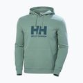 Felpa da uomo con cappuccio Helly Hansen HH Logo cactus 5