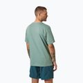 Maglietta Helly Hansen HH Logo cactus da uomo 2