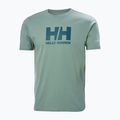 Maglietta Helly Hansen HH Logo cactus da uomo 4