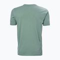 Maglietta Helly Hansen HH Logo cactus da uomo 5