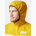 Giacca a vento da uomo Helly Hansen Salt Striped Windbreaker oro rush 3