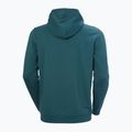 Felpa con cappuccio Helly Hansen Nord Graphic Pull Over da uomo dark creek 6