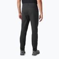 Pantaloni da trekking da uomo Helly Hansen Vika Tur Pant 2.0 nero 2