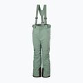 Pantaloni da sci Helly Hansen No Limits 2.0 cactus da bambino 5