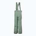 Pantaloni da sci Helly Hansen No Limits 2.0 cactus da bambino 6