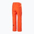 Helly Hansen pantaloni da sci da uomo Sogn Cargo pomodoro ciliegia 2