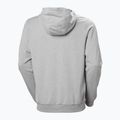 Felpa Helly Hansen HH Logo Uomo con cappuccio e zip intera 2.0 grigio/melange 6