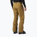 Pantaloni da sci Helly Hansen Legendary Insulated lynx da uomo 2