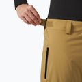 Pantaloni da sci Helly Hansen Legendary Insulated lynx da uomo 3