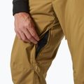 Pantaloni da sci Helly Hansen Legendary Insulated lynx da uomo 4