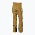 Pantaloni da sci Helly Hansen Legendary Insulated lynx da uomo 6