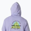 Felpa con cappuccio Helly Hansen Core Graphic da uomo, color lavanda brillante 4