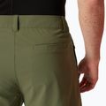 Pantaloncini da trekking Helly Hansen Move Quick-Dry 6" lav verde 4