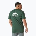 Maglietta Helly Hansen Nord Graphic verde giungla da uomo 2
