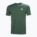 Maglietta Helly Hansen Nord Graphic verde giungla da uomo 4