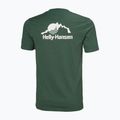 Maglietta Helly Hansen Nord Graphic verde giungla da uomo 5