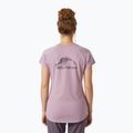 Maglietta Helly Hansen Nord Graphic Drop viola argilla donna 2