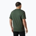 Maglietta Helly Hansen Box T 2.0 uomo verde giungla 2