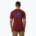 Maglietta Helly Hansen Nord Graphic da uomo rosso mars 2