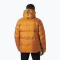 Giacca imbottita da uomo Helly Hansen Active Winter mustard 2