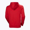Felpa da uomo Helly Hansen HH Logo Hoodie red 6